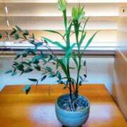 ヒメ日記 2025/02/26 16:16 投稿 ひまわり 熟女デリヘル倶楽部