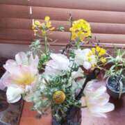 ヒメ日記 2025/03/02 11:46 投稿 ひまわり 熟女デリヘル倶楽部