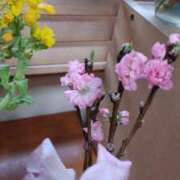 ヒメ日記 2025/03/05 08:45 投稿 ひまわり 熟女デリヘル倶楽部