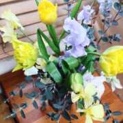 ヒメ日記 2025/03/06 16:01 投稿 ひまわり 熟女デリヘル倶楽部