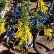 ヒメ日記 2025/03/10 14:17 投稿 ひまわり 熟女デリヘル倶楽部