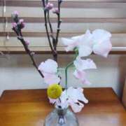 ヒメ日記 2025/03/12 06:13 投稿 ひまわり 熟女デリヘル倶楽部