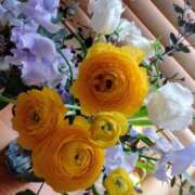 ヒメ日記 2025/03/20 11:24 投稿 ひまわり 熟女デリヘル倶楽部