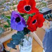 ヒメ日記 2025/03/22 16:29 投稿 ひまわり 熟女デリヘル倶楽部