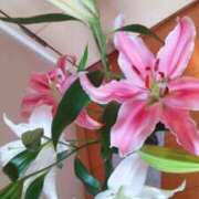 ヒメ日記 2025/03/25 15:31 投稿 ひまわり 熟女デリヘル倶楽部