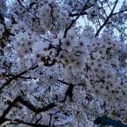 ヒメ日記 2025/03/31 20:40 投稿 ひまわり 熟女デリヘル倶楽部