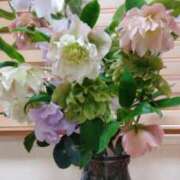 ヒメ日記 2025/04/03 16:30 投稿 ひまわり 熟女デリヘル倶楽部