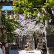 ヒメ日記 2025/04/04 13:26 投稿 ひまわり 熟女デリヘル倶楽部