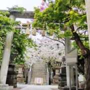 ヒメ日記 2025/04/06 11:49 投稿 ひまわり 熟女デリヘル倶楽部