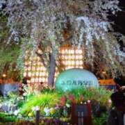 ヒメ日記 2025/04/06 21:10 投稿 ひまわり 熟女デリヘル倶楽部