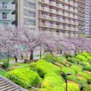 ヒメ日記 2025/04/07 15:09 投稿 ひまわり 熟女デリヘル倶楽部