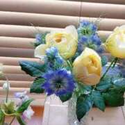 ヒメ日記 2025/04/09 16:34 投稿 ひまわり 熟女デリヘル倶楽部