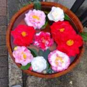 ヒメ日記 2025/04/13 14:13 投稿 ひまわり 熟女デリヘル倶楽部