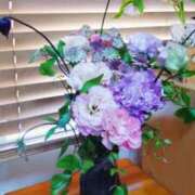 ヒメ日記 2025/04/16 16:54 投稿 ひまわり 熟女デリヘル倶楽部