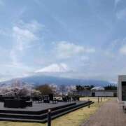 ヒメ日記 2025/04/22 11:21 投稿 ひまわり 熟女デリヘル倶楽部