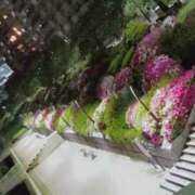 ヒメ日記 2025/04/22 21:37 投稿 ひまわり 熟女デリヘル倶楽部