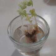 ヒメ日記 2025/04/23 09:39 投稿 ひまわり 熟女デリヘル倶楽部