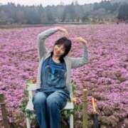 ヒメ日記 2025/04/23 11:53 投稿 ひまわり 熟女デリヘル倶楽部