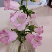 ヒメ日記 2025/04/24 13:27 投稿 ひまわり 熟女デリヘル倶楽部