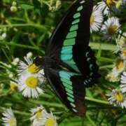 ヒメ日記 2025/04/27 14:58 投稿 ひまわり 熟女デリヘル倶楽部