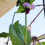 ヒメ日記 2025/05/08 12:09 投稿 ひまわり 熟女デリヘル倶楽部