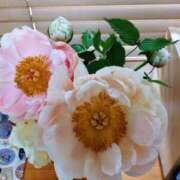 ヒメ日記 2025/05/09 11:30 投稿 ひまわり 熟女デリヘル倶楽部