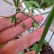 ヒメ日記 2025/05/15 18:06 投稿 ひまわり 熟女デリヘル倶楽部