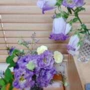 ヒメ日記 2025/05/17 16:10 投稿 ひまわり 熟女デリヘル倶楽部