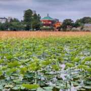 ヒメ日記 2025/05/19 18:25 投稿 ひまわり 熟女デリヘル倶楽部