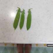 ヒメ日記 2025/05/19 20:14 投稿 ひまわり 熟女デリヘル倶楽部