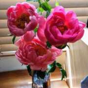 ヒメ日記 2025/05/20 13:23 投稿 ひまわり 熟女デリヘル倶楽部