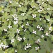 ヒメ日記 2025/05/22 17:46 投稿 ひまわり 熟女デリヘル倶楽部