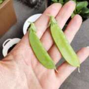 ヒメ日記 2025/05/23 09:05 投稿 ひまわり 熟女デリヘル倶楽部