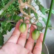 ヒメ日記 2025/05/23 21:33 投稿 ひまわり 熟女デリヘル倶楽部