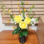 ヒメ日記 2025/05/28 08:14 投稿 ひまわり 熟女デリヘル倶楽部