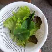 ヒメ日記 2025/05/29 07:56 投稿 ひまわり 熟女デリヘル倶楽部