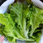 ヒメ日記 2025/06/06 07:55 投稿 ひまわり 熟女デリヘル倶楽部