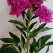 ヒメ日記 2025/06/09 14:13 投稿 ひまわり 熟女デリヘル倶楽部