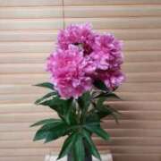 ヒメ日記 2025/06/10 10:48 投稿 ひまわり 熟女デリヘル倶楽部