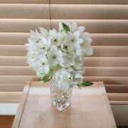 ヒメ日記 2025/06/12 08:30 投稿 ひまわり 熟女デリヘル倶楽部