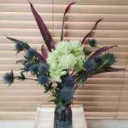 ヒメ日記 2025/06/12 13:19 投稿 ひまわり 熟女デリヘル倶楽部