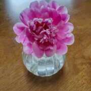 ヒメ日記 2025/06/13 11:00 投稿 ひまわり 熟女デリヘル倶楽部