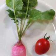 ヒメ日記 2025/06/19 07:24 投稿 ひまわり 熟女デリヘル倶楽部