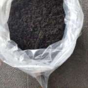 ヒメ日記 2025/08/06 15:30 投稿 ひまわり 熟女デリヘル倶楽部