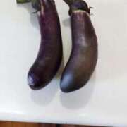 ヒメ日記 2025/09/07 07:19 投稿 ひまわり 熟女デリヘル倶楽部