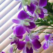 ヒメ日記 2025/09/07 11:14 投稿 ひまわり 熟女デリヘル倶楽部