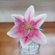 ヒメ日記 2025/09/23 20:54 投稿 ひまわり 熟女デリヘル倶楽部