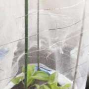 ヒメ日記 2025/09/29 13:43 投稿 ひまわり 熟女デリヘル倶楽部