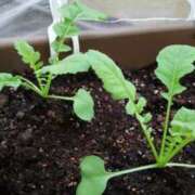 ヒメ日記 2025/09/30 17:24 投稿 ひまわり 熟女デリヘル倶楽部