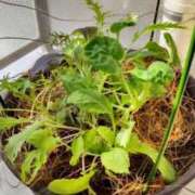 ヒメ日記 2025/10/03 09:51 投稿 ひまわり 熟女デリヘル倶楽部